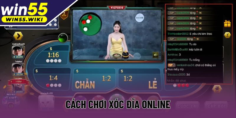 Hướng Dẫn Cách Chơi Xóc Đĩa Online Win55 Đơn Giản Và Dễ Hiểu