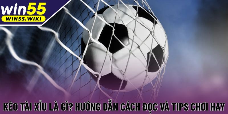 Kèo Tài Xỉu Là Gì? Hướng Dẫn Cách Đọc Và Tips Chơi Hay
